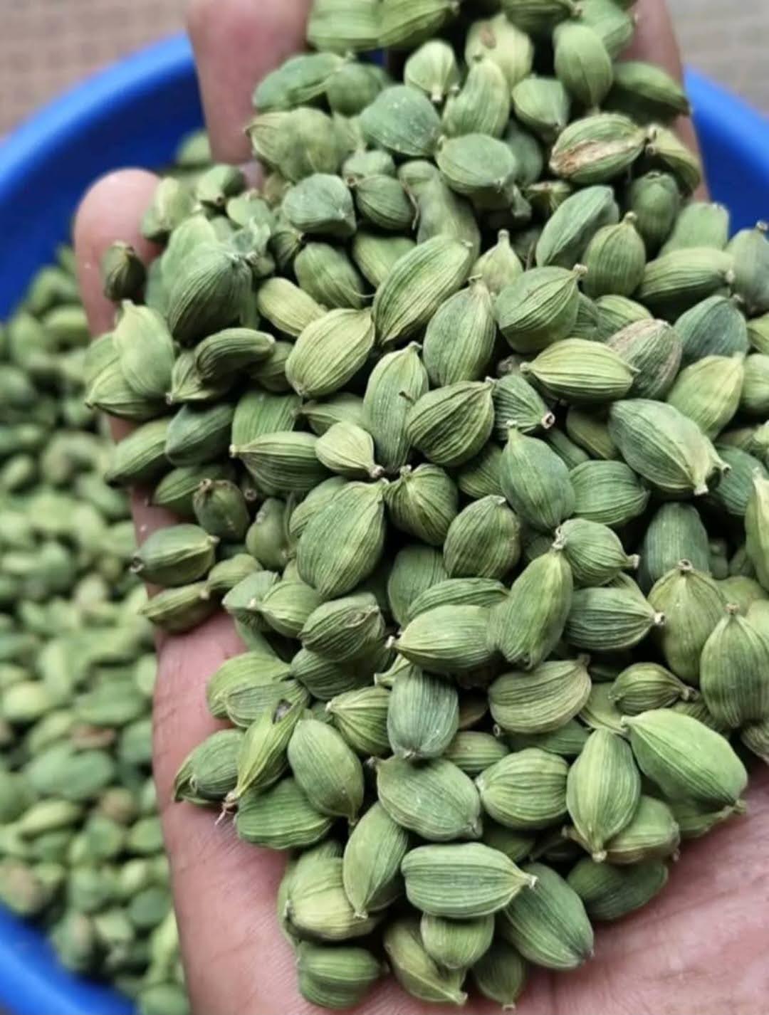 Green Cardamoms
