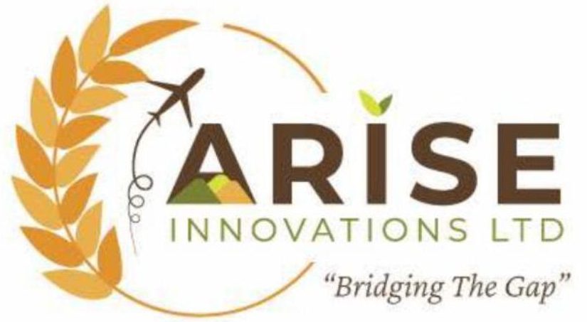Arise Innovations Ltd